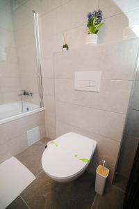 Cristian Point Apartment With Parking