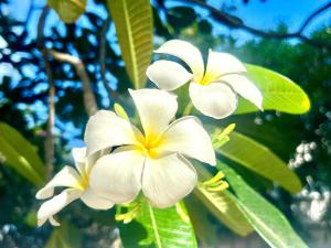 Condo by base - 5hvězdičkové hotely ve městě Pattaya Central