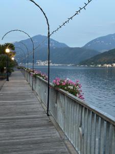Nest of the Lakes - Between Maggiore, Monate and Comabbio