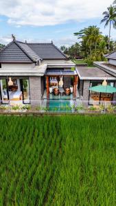 Jasmine Serenity Sunrise #2