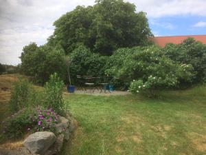 Rovor och Rum Rännet