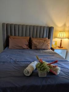 Rest and Fly Luxurious Budget Stay with Pool and Gym Hosted by Peter