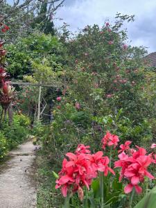 Romantic house 2 on a pine hill Dalat