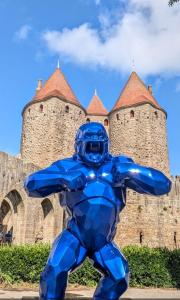 Appartements La Belle etape a Carcassonne : photos des chambres