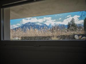 Appartements Venez Chez Vous - Aux Premieres Loges Appartement Pieds dans l'eau : photos des chambres