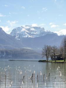Venez Chez Vous - Aux Premières Loges Appartement Pieds dans leau