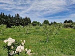 Villas Mas Romainho, Luxe et Charme a St Remy : photos des chambres