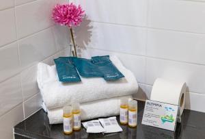 Standard Triple Room (3 Adults) room in Hotel Olympia Universidades