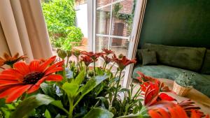 Lychen-Daheim, 2-Zimmer-Apartment im Herzen von Lychen