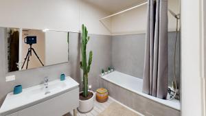 Loft d exception Hyper-centre Albi UNeSCO