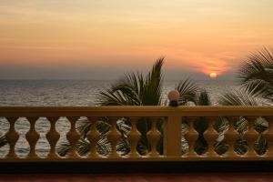 Joes Resort Bentota