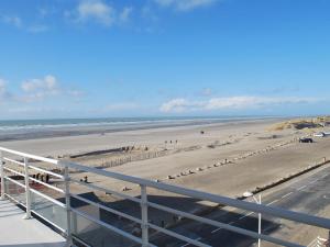 Appartement moderne 2 chambres, balcon plage, animaux admis - FR-1-482-158