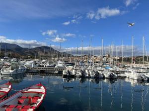Appartements Appartement T2 a Banyuls, calme et proche plage - FR-1-225C-170 : photos des chambres