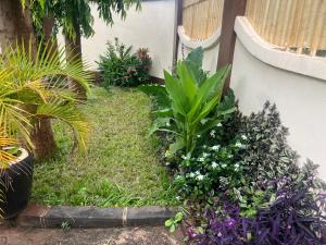 kivuli homestay