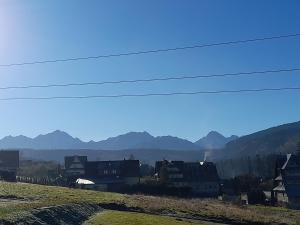 Domki nad Borem
