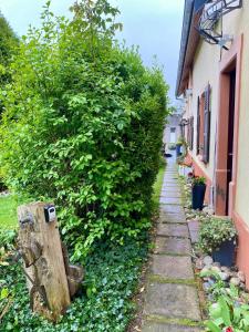 Appartements Appartement cosy avec jardin : photos des chambres