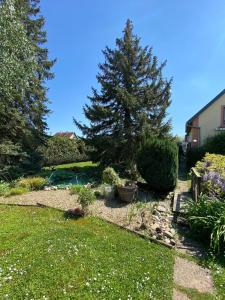 Appartements Appartement cosy avec jardin : photos des chambres