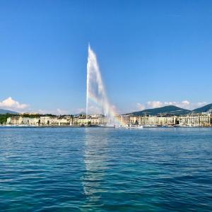 Appartements Le Clos du Leman I Charme & Sauna : photos des chambres