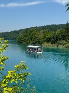 Apartments with balcony and with large free parking House Oliver