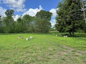 Salatse metsa mesionn