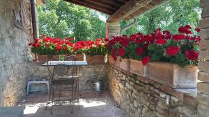 Villa con 2 Camere da Letto