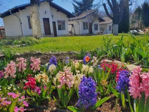 Double Room room in Nigovanka