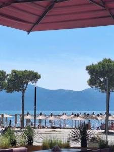 Holiday Rent Apartment AVA