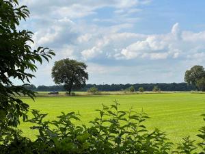 Houten huisje 7 voor Rust, Ruimte en Natuur