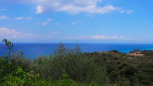 Fiore Hill Sea View Studios Zakynthos Greece