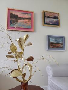 Kodikas kolmio Puijonlaaksossa