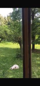 Une maison traditionnelle de Georgie