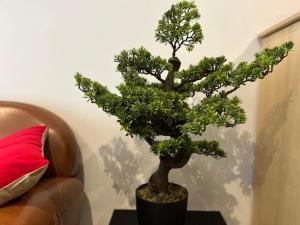 Appartements Le Vintage, Calme et Central : photos des chambres