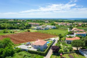 Purple Sky by Briskva