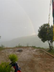 First Nature Homestay