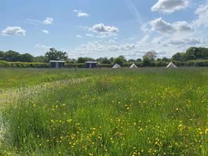 Stone Pit Meadows