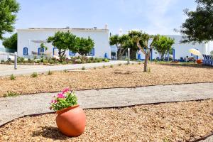 Quinta da Pi Silveira