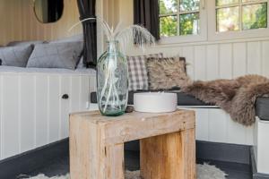 Nature lovers Amsterdam Zaandam