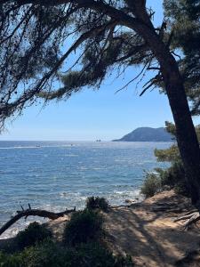 Studio cozy proche de la mer