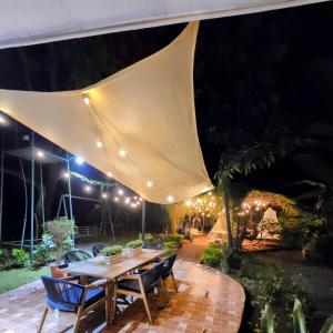 Nica Mango Tree Casa