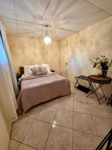 Nica Mango Tree Casa