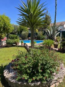 Maisons de vacances Studio Lumineux 2 adultes et 1enfant : Maison 1 Chambre