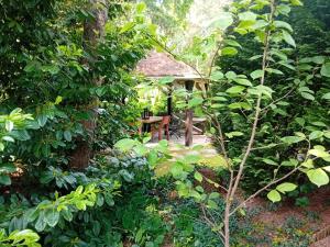 Black & White - Honey