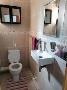 Cove 13 Marina Martinique