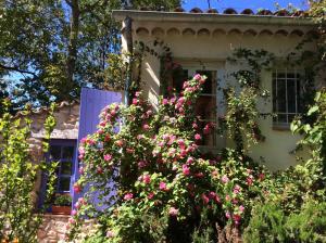 Hotels Clos des Iris : photos des chambres