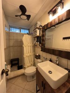 Nica Mango Tree Casa