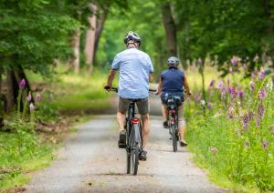 Maisons de vacances Le Clos du Cep : photos des chambres
