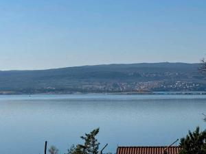 Apartments in Crikvenica 53742