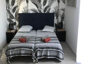 Appartement T3 LAstragale - Classé 3 étoiles Tourisme