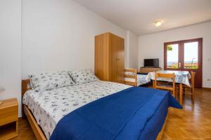 Apartments in Novi Vinodolski 45276