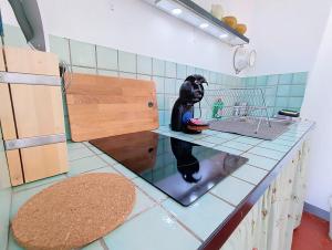 Appartements Le Veronese, Maison des Artistes, Vue, Rooftop : photos des chambres